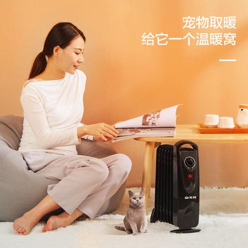 先锋取暖器小型油汀迷你电暖气办公室节能电暖器家用烤火炉暖风机